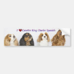 Three Colors of Cavalier King Charles Spaniels Bumper Sticker