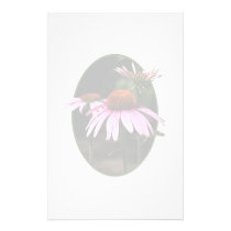 Three Coneflowers stationery