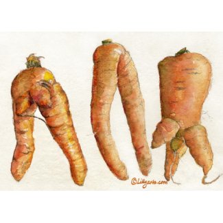 Crazy Carrot Watercolor