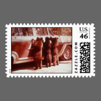 Three cubs begging for food postage