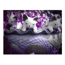 Three Curious Kittens postcards