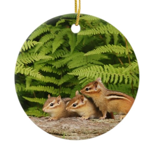 three cute baby chipmunks double sided ceramic round chip n dale christmas ornaments