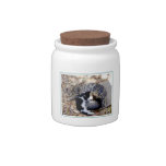 Three Cute Cats Curled Up Asleep Candy Dishes at Zazzle
