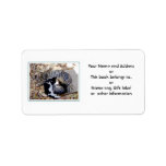 Three Cute Cats Curled Up Asleep Labels