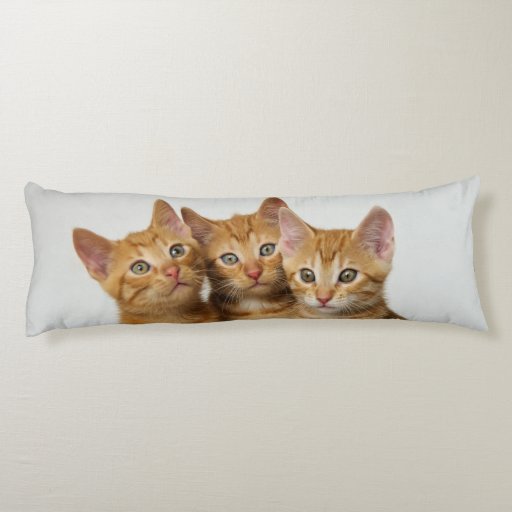 ginger cat pillow