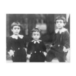 Three Cute Young Boys Vintage Photo Postcards