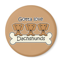 Three Dachshunds magnets