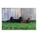 Three Dachshunds posters
