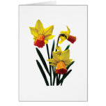 Three Daffodils Card