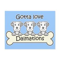 Three Dalmations postcards