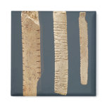 Three decorated bones magnets