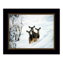 Three Deer posters by chysshirts Three Deer posters