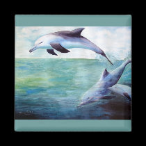 three dolphins image magnet