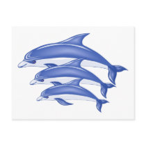 Three Dolphins Post Card
