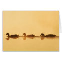 Three Ducks Card (Blank)