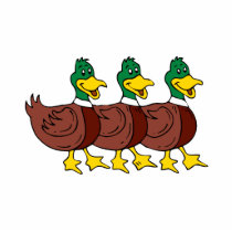 Three Ducks photo sculptures by BisforBirds Three Ducks photo sculptures