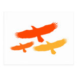 Three Eagles Flying (Orange) Postcard
