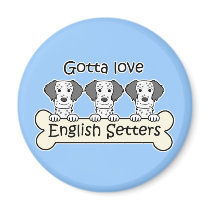 Three English Setters magnets by dogcartoons Three English Setters magnets