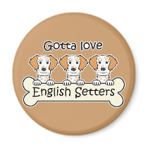 Three English Setters magnets by dogcartoons Three English Setters magnets