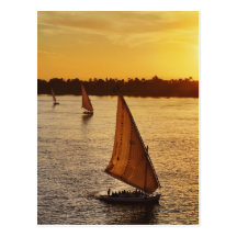 Three falukas with sightseers on Nile River at Post Card