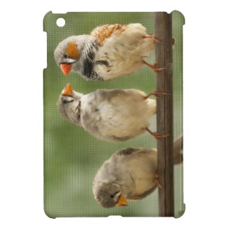 Three Finches on a Twig iPad Mini Case