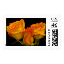 Three Firery Roses Postage Stamp stamps