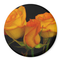 Three Firey Roses Magnet by estjohn Three Firey Roses Magnet