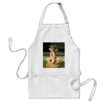 Three Fish Fountain aprons