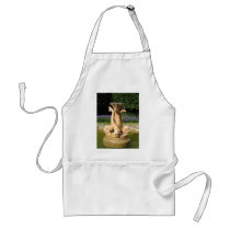 Three Fish Fountain aprons