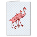 Three Flamingos Greeting Card
