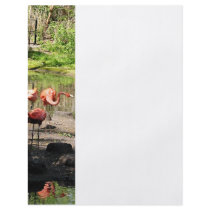 Three Flamingos Flyers