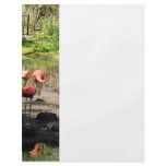Three Flamingos Flyers