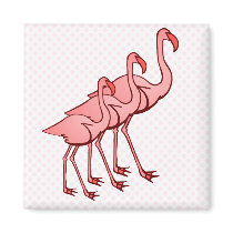 Three Flamingos magnets