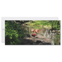 Three Flamingos Custom Rack Cards