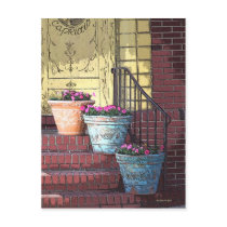 Three Flower Pots postcards by StarLily Three Flower Pots postcards