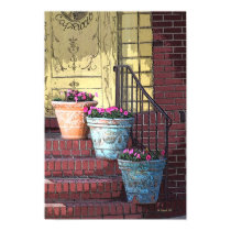 Three Flower Pots posters by StarLily Three Flower Pots posters