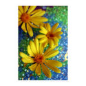 three flowers posters