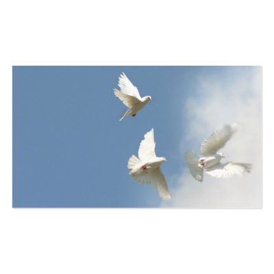 Three flying doves business cards