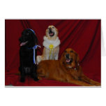 Three Friends for the Holidays Greeting Cards