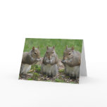 Three Friends Gossiping Cards