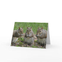 Three Friends Gossiping Cards