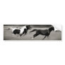 Three Galloping Horses Bumper Stickers
