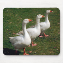 Three Geese a Strutting - Mousemat. Customise. mousepads by celtxian Three Geese a Strutting - Mousemat. Customise. mousepads