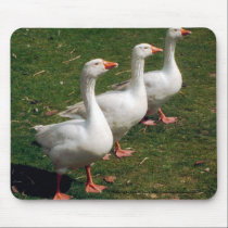Three Geese a Strutting - Mousemat. Customise. mousepads by celtxian Three Geese a Strutting - Mousemat. Customise. mousepads