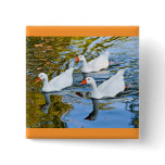 three geese swimming pins