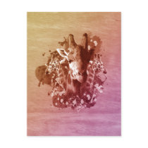 Three Giraffes Postcard