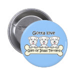 Three Glen of Imaal Terriers Pinback Button