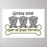 Three Glen of Imaal Terriers Poster