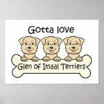 Three Glen of Imaal Terriers Print