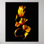 Three Golden Shiny Tulips framed print